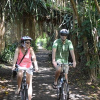 pedal bike tours