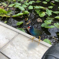 2/9/2020 tarihinde Alina V.ziyaretçi tarafından Airboat In Everglades'de çekilen fotoğraf