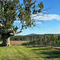 Greenhill Winery Vineyard Middleburg Va Greenhill Winery Vineyard Middleburg Va