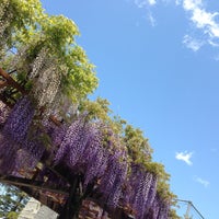 Photo taken at 赤坂スポーツ公園 by Ena on 5/3/2013