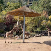Foto diambil di Cheyenne Mountain Zoo oleh George K. pada 10/10/2021
