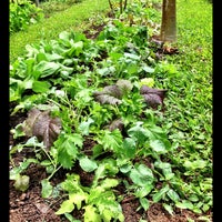 5/4/2013 tarihinde Jai R.ziyaretçi tarafından Honua Lani Gardens Kauai'de çekilen fotoğraf