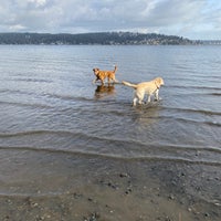 Photo taken at Magnuson Park Off-Leash Dog Park by Gira W. on 2/27/2021