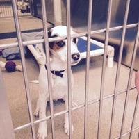 Cha Animal Shelter 3765 Corporate Dr