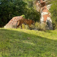 Photo taken at Maharajah Jungle Trek by Sabrina on 11/6/2023