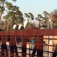 Photo taken at Bayou Walking Trail by Rochelle R. on 1/20/2014