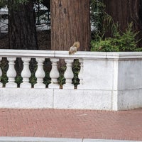 Photo taken at University of California, Berkeley by Lindze M. on 12/14/2023