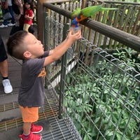 Photo taken at Parrot Paradise by Cyrus L. on 12/23/2019