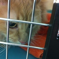 Photo taken at Advanced Veterinary Care by Faith A. on 12/14/2012