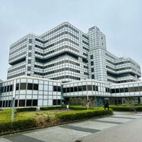 1/30/2024にRegina P.がIBM Nederlandで撮った写真