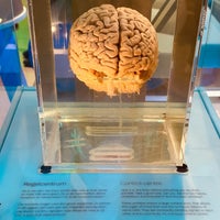 1/27/2024にRegina P.がNEMO Science Museumで撮った写真