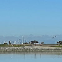 Photo taken at San Leandro Marina by Dorothy D. on 3/1/2021