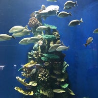 Photo taken at Aquarium Cancun by Priest on 11/25/2021