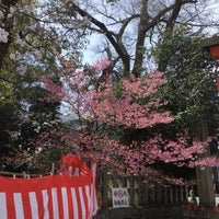 Photo taken at Hirano-Jinja Shrine by grace on 4/5/2024
