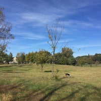 Das Foto wurde bei Eau Claire County Dog Park von Jøry P. am 10/7/2015 aufgenommen