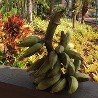 Photo taken at Dole Plantation by Anthony L. on 4/16/2015