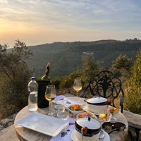 ayda baglari ayda winery izmir de uzum bagi