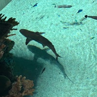 Foto diambil di National Aquarium oleh Matthew G. pada 7/31/2023