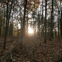 Photo taken at Walden Pond State Reservation by Drew B. on 11/11/2021