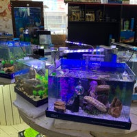 Pusat Akuatik Ikia Aquaculture Technology Sdn Bhd Melaka Melaka