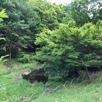 今川公園 旭区 198 Visitors