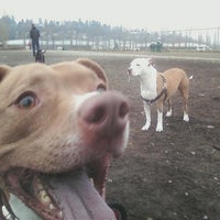 Photo taken at Magnuson Dog Park Water Station by Rachel G. on 2/7/2013