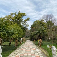 Photo taken at Ботанический Сад | ბოტანიკური ბაღი by Moshé E. on 3/15/2023