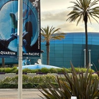 6/20/2023에 Justin P.님이 Aquarium of the Pacific에서 찍은 사진