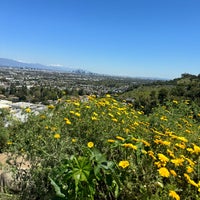 Photo taken at Baldwin Hills Scenic Overlook by Cory E. on 4/9/2024