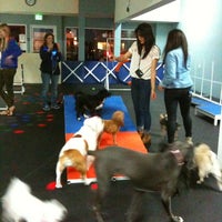Photo taken at Zoom Room Dog Training by Courtney S. on 3/10/2013