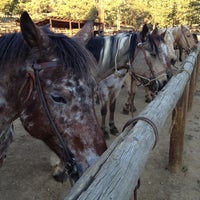 Photo taken at Jackson Stables by Stephanie T. on 10/3/2012