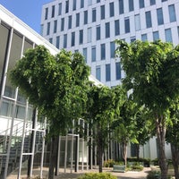 横浜歯科技術専門学校 新校舎 西区 14 Visitors