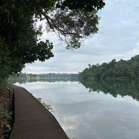 Photo taken at MacRitchie Reservoir Park by Yvonne L. on 4/10/2024