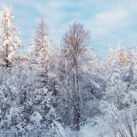 Photo taken at Старая Весёлая by Alexander K. on 11/25/2013