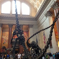 Photo taken at American Museum of Natural History by Julia G. on 5/11/2013
