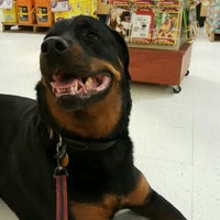 petsmart concord pike