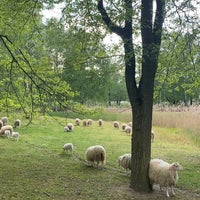 Photo taken at Britzer Garten by Maria R. on 9/28/2023