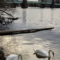Photo taken at Spandauer See-Brücke by Maria R. on 1/21/2021
