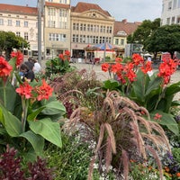 Photo taken at Wochenmarkt Altstadt Spandau by Maria R. on 8/14/2020