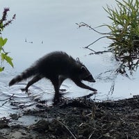 Photo taken at Kleine Eiswerderbrücke by Maria R. on 8/26/2020