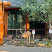 Photo taken at Lookout Mountain Nature Center by Stephen W. on 8/16/2023