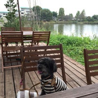 食堂カフェ ラフ 食堂カフェ ラフ