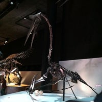 Photo taken at Dan L Duncan Hall of Paleontology by Julie S. on 1/6/2013