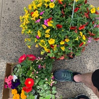 Photo taken at Nelly&amp;#39;s Flower Shop by Brad B. on 5/3/2020