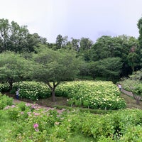 Photo taken at Sagamihara Kita Park by Miwako on 6/11/2022
