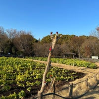 Photo taken at Roka Koshun-en Gardens by Miwako on 1/31/2024