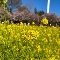 Photo taken at Roka Koshun-en Gardens by Miwako on 3/29/2024