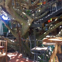 Foto diambil di Tree House Restaurante &amp;amp; Cafe oleh Radmila Z. pada 2/9/2020