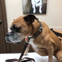 Photo taken at Paces Ferry Vet Clinic by Dianne D. on 3/7/2018