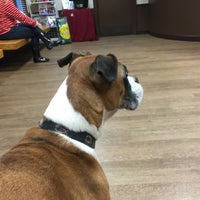 Photo taken at Paces Ferry Vet Clinic by Dianne D. on 12/22/2015